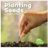 Celebrate Spring: Planting Seeds