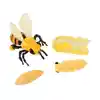 Life Cycle Figurines Classroom Set