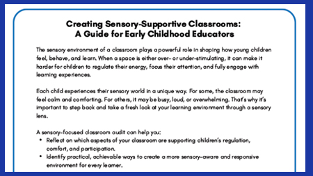 Learning Environment Sensory Audit